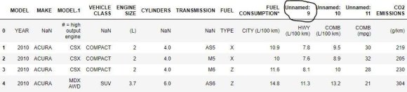 Figure 5: Renaming the Unnamed Columns in the Dataset