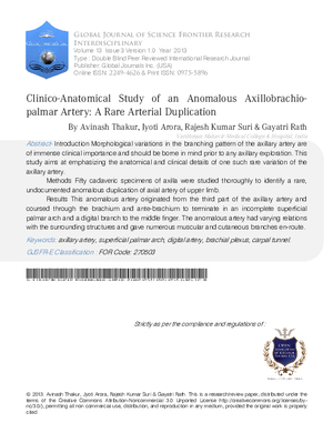 Clinico-Anatomical Study of an Anomalous Axillobrachiopalmar Artery: A Rare Arterial Duplication