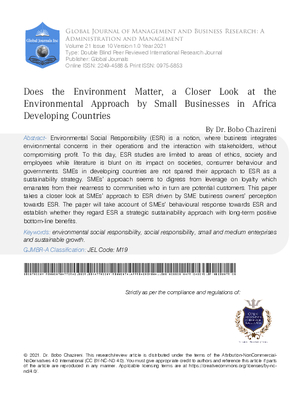 Does the Environment Matter, A Closer Look at the Environmental Approach by Small Businesses in Africa Developing Countries
