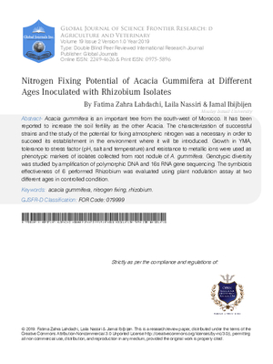 Nitrogen Fixing Potential of Acacia Gummifera At Different Ages Inoculated With Rhizobium Isolates