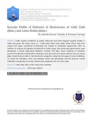 Isozyme Profile of Esterases in Backcrosses of Catla Catla (Ham.) and Labeo Rohita (Ham.)