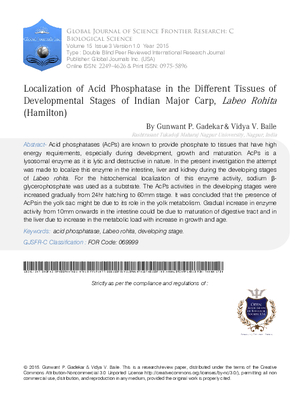 Localization of Acid Phosphatase in the Different Tissues of Developmental Stages of Indian Major Carp, Labeo rohita (Hamilton)