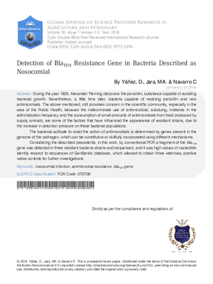 Detection of blaTEM Resistance Gene in Bacteria Described as Nosocomial