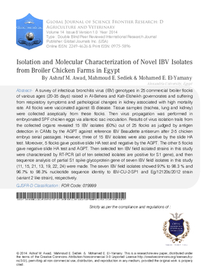 Isolation and Molecular Characterization of Novel IBV Isolates from Broiler Chicken Farms in Egypt