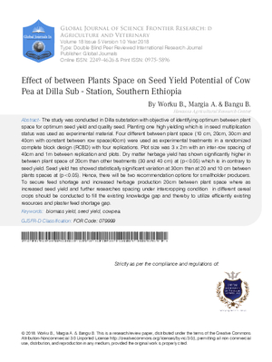 Effect of between Plants Space on Seed Yield Potential of Cow Pea at Dilla Sub- Station, Southern Ethiopia