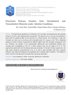 Potassium Release Kinetics from Dioctahedral and Trioctahedral Minerals under Alkaline Conditions