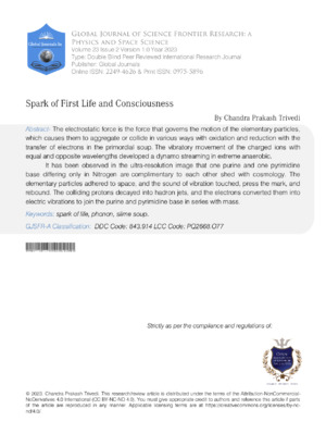Spark of First Life and Consciousness
