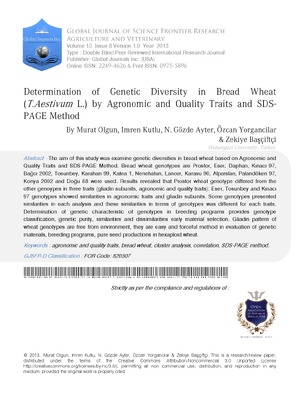 Determination of Genetic Diversity in Bread Wheat (T.Aestivum L.) by Agronomic and Quality Traits and SDS-PAGE Method